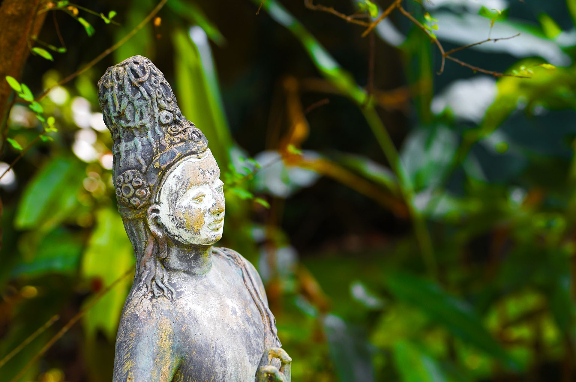 Discover Authentic Sri Lanka